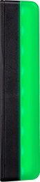 Status Light